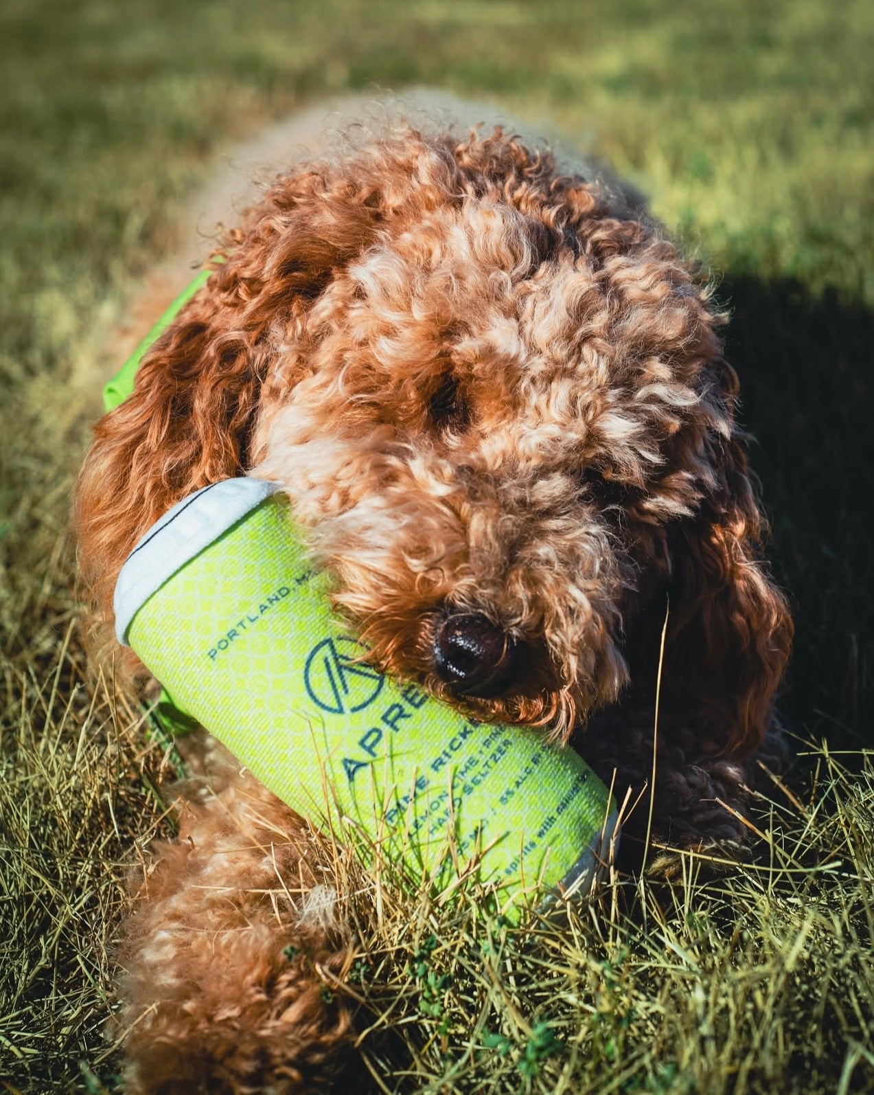 Pine Rickey Can Dog Squeaky Toy
